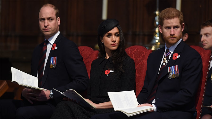 Prince William was worried about Prince Harry’s ‘mental fragility’ during Meghan Markle romance, book claims