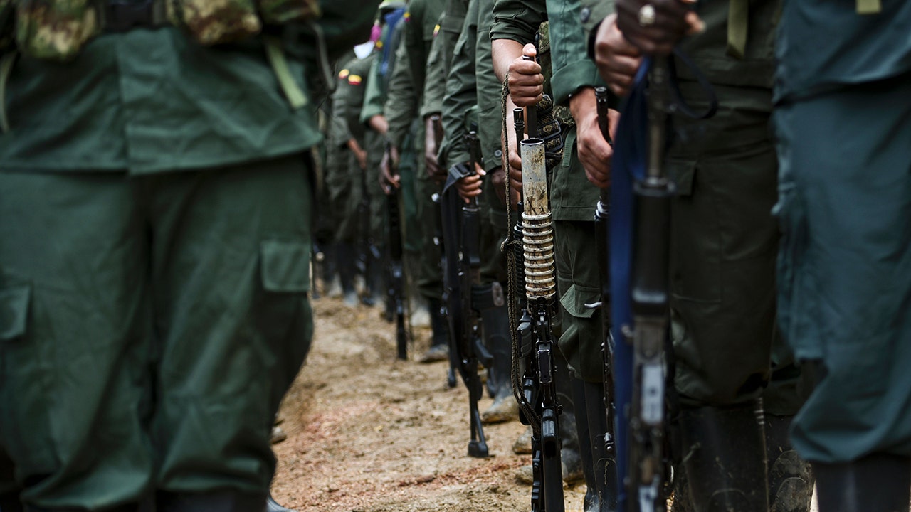 Republicans question lifting Colombian rebel group FARC's terrorism designation