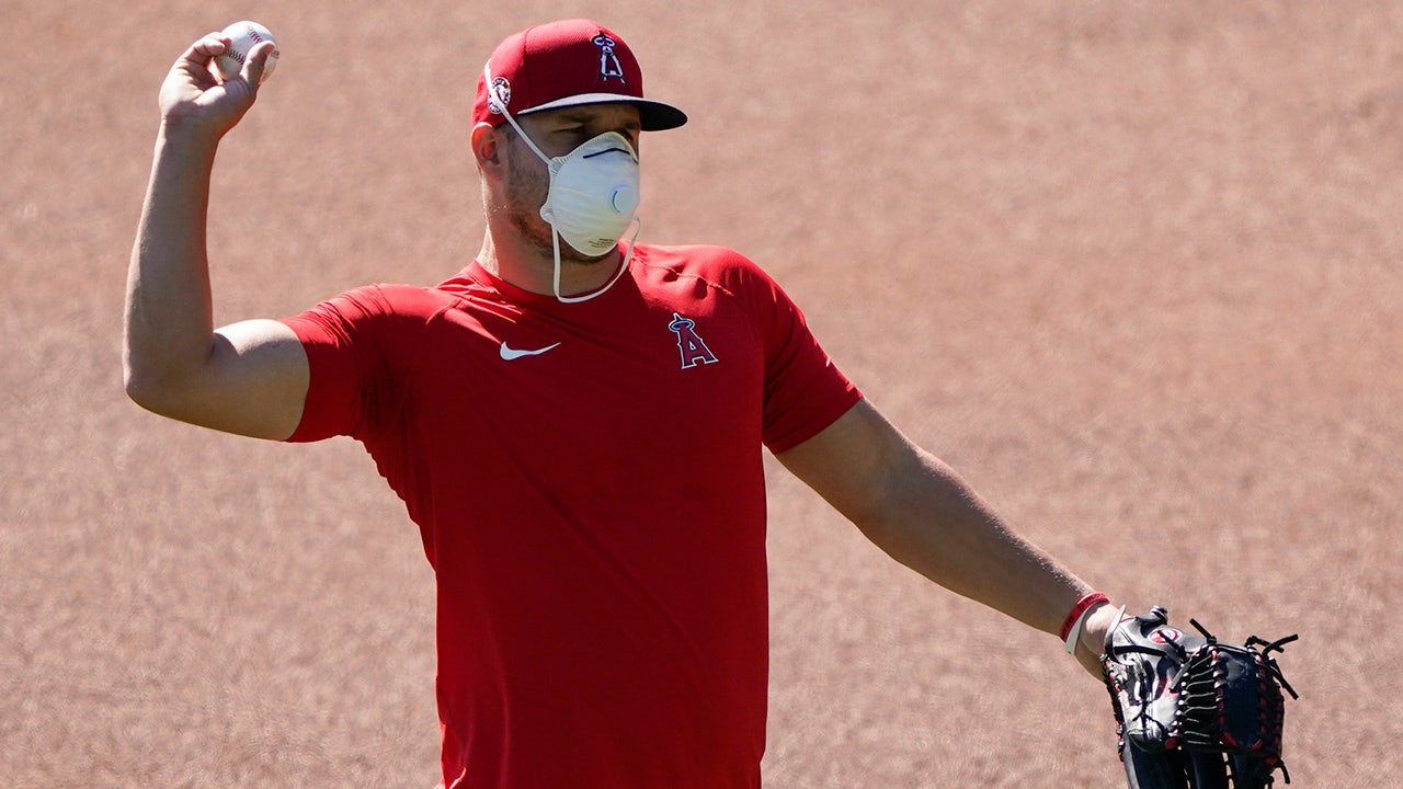 What Glove Does Mike Trout Wear?