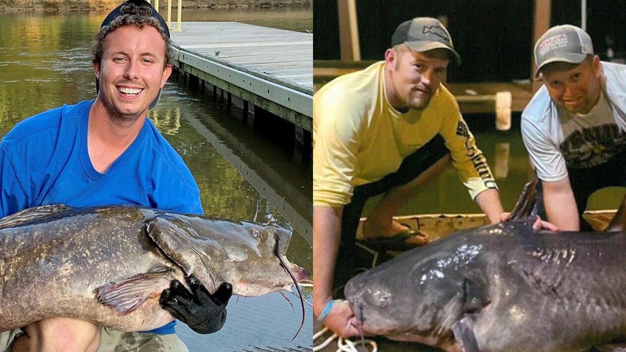2 Fishermen In North Carolina Hook Record breaking Catfish Days Apart