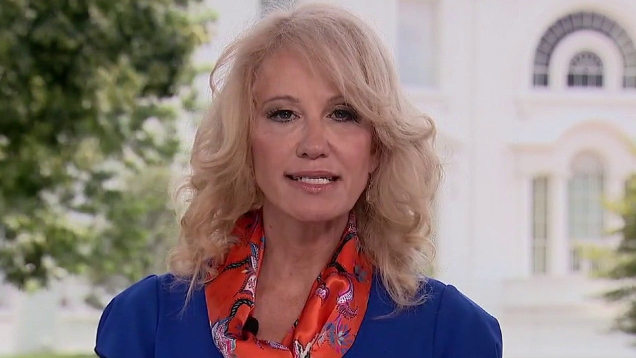 Parents will be dominant voice in midterms after Democrats used kids as 'political pawns:' Kellyanne Conway