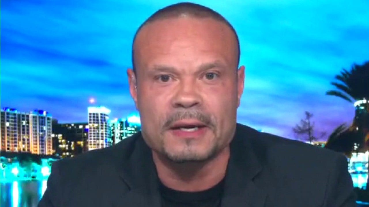 Bongino: Democrat Party stands for anti-work, high-crime policies