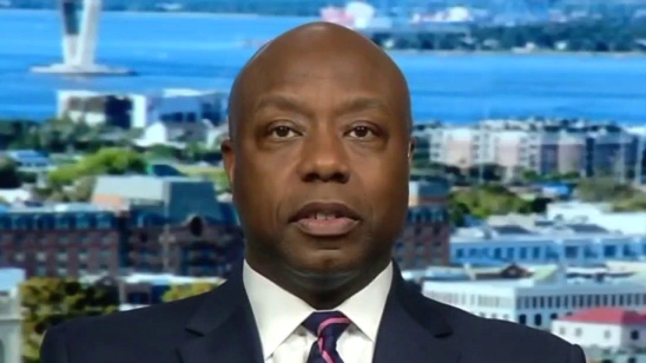 Tim Scott: Georgia Dems' Jim Crow references 'terribly' distort voting-law facts