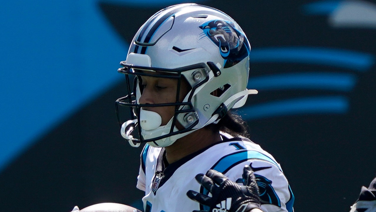 Panthers' Robby Anderson gets acquainted with Sir Purr: 'You call him  that?