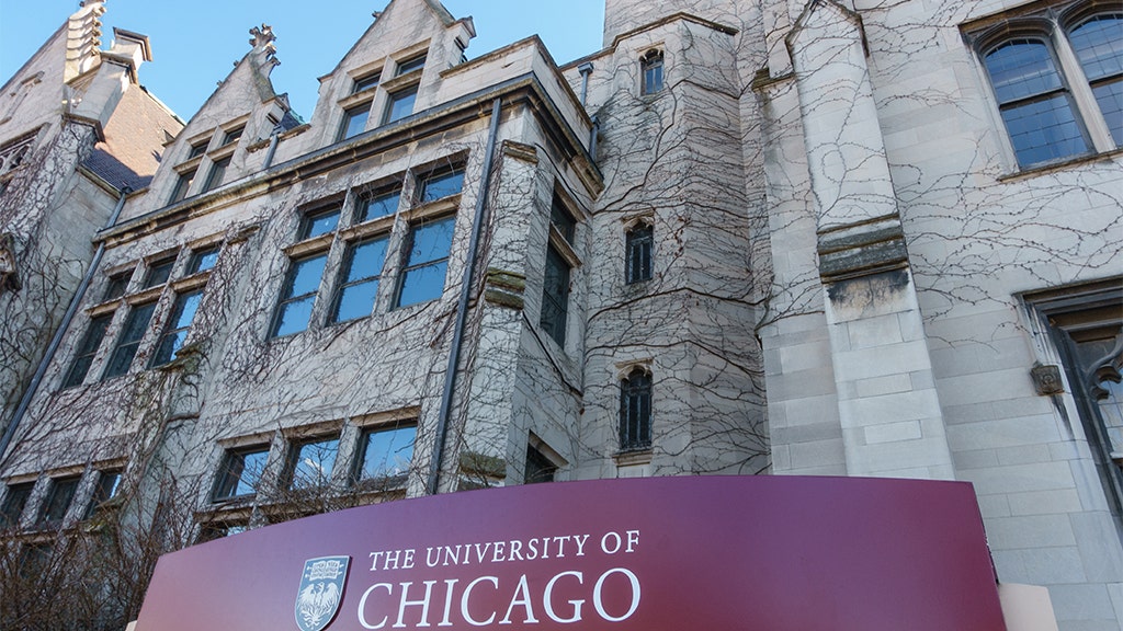 Pro-Israel group urges University of Chicago to condemn group calling for boycott of 'sh--ty Zionist classes'