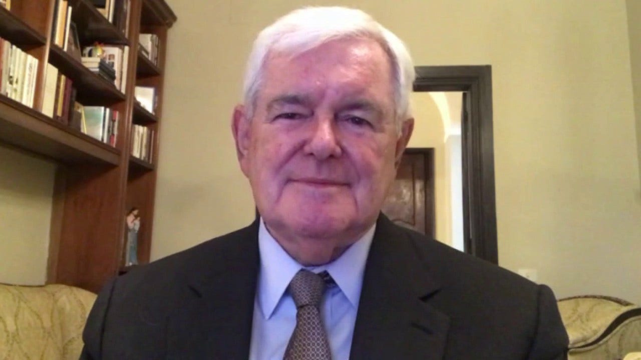 Newt Gingrich says Sanders wing of Dem Party poses 'peculiar dilemma' for Joe Biden