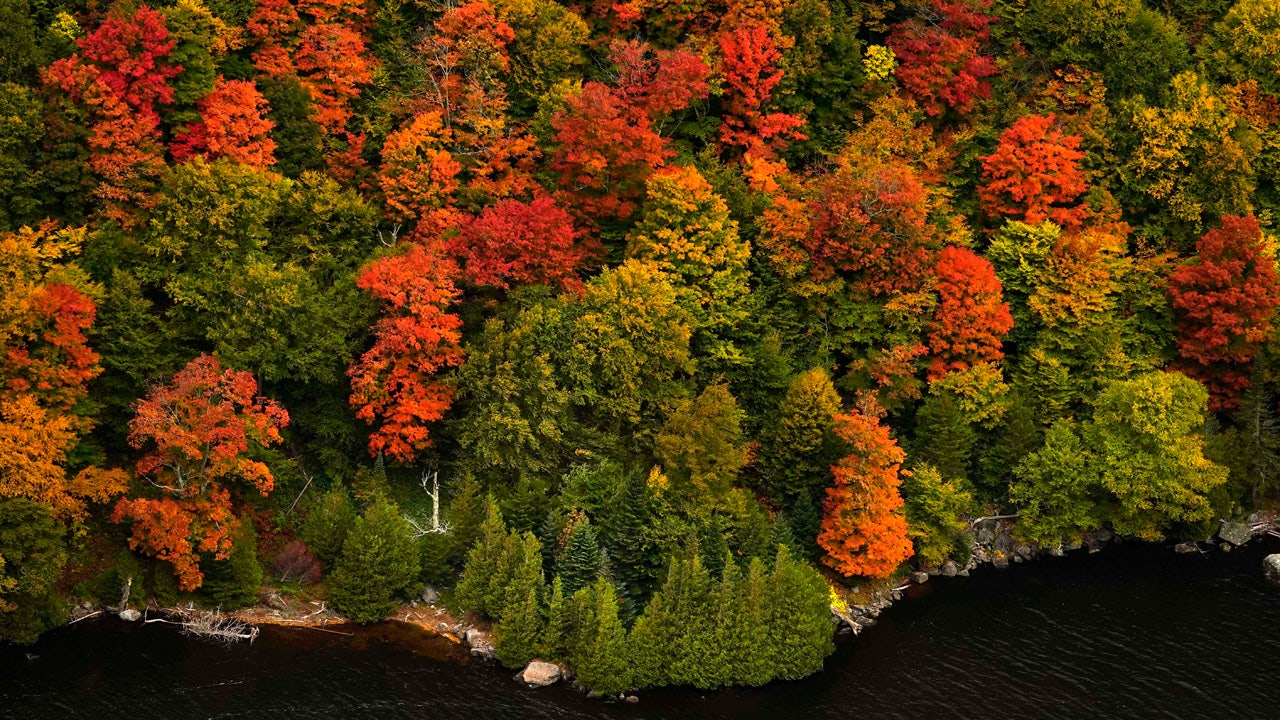 Fall foliage in New England impacted by 'extreme drought,'...