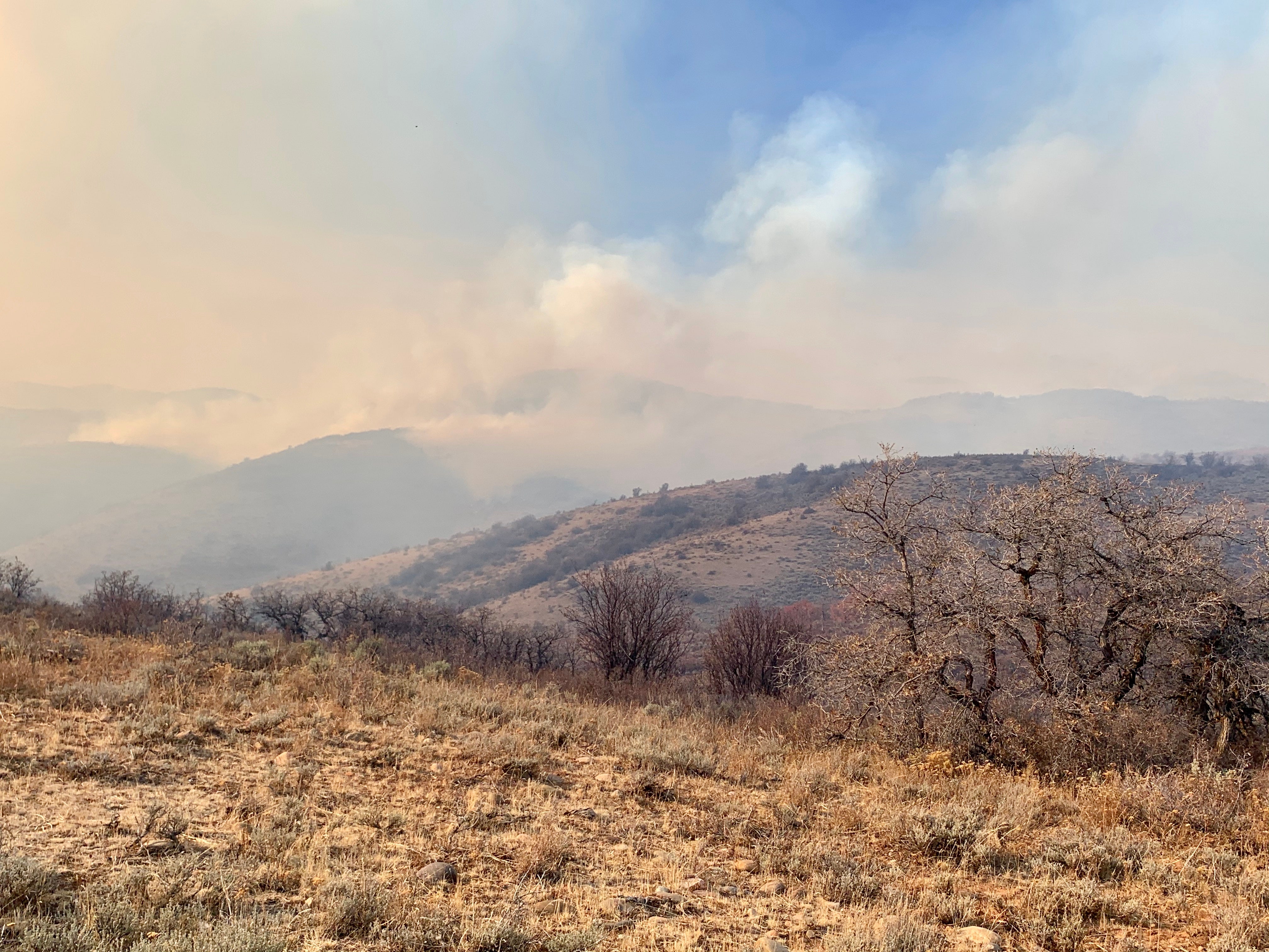 New wildfires in Utah, Colorado force evacuations, 0 contained