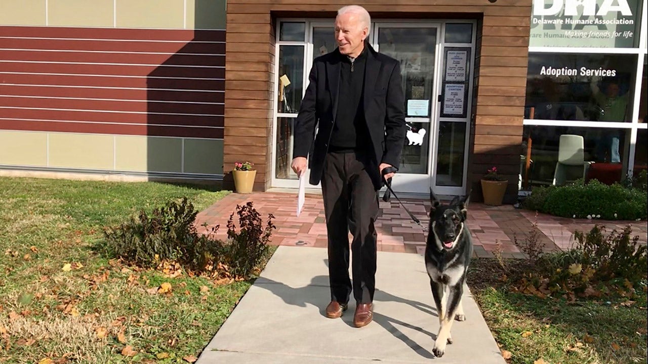 Biden’s German shepherds returned to Delaware after allegedly biting the security guard