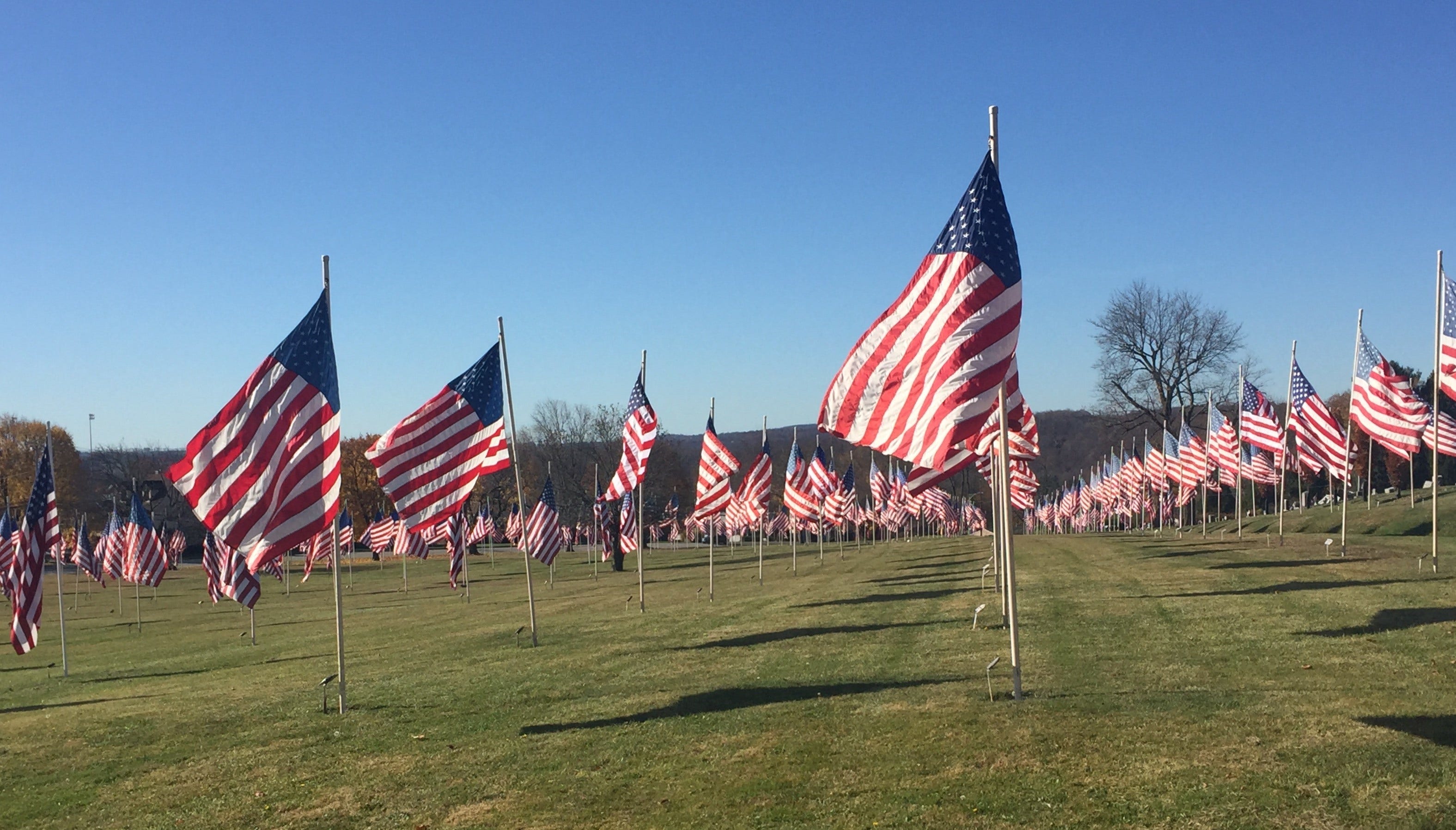 American flags line Hendersonville's Main Street in honor of veterans