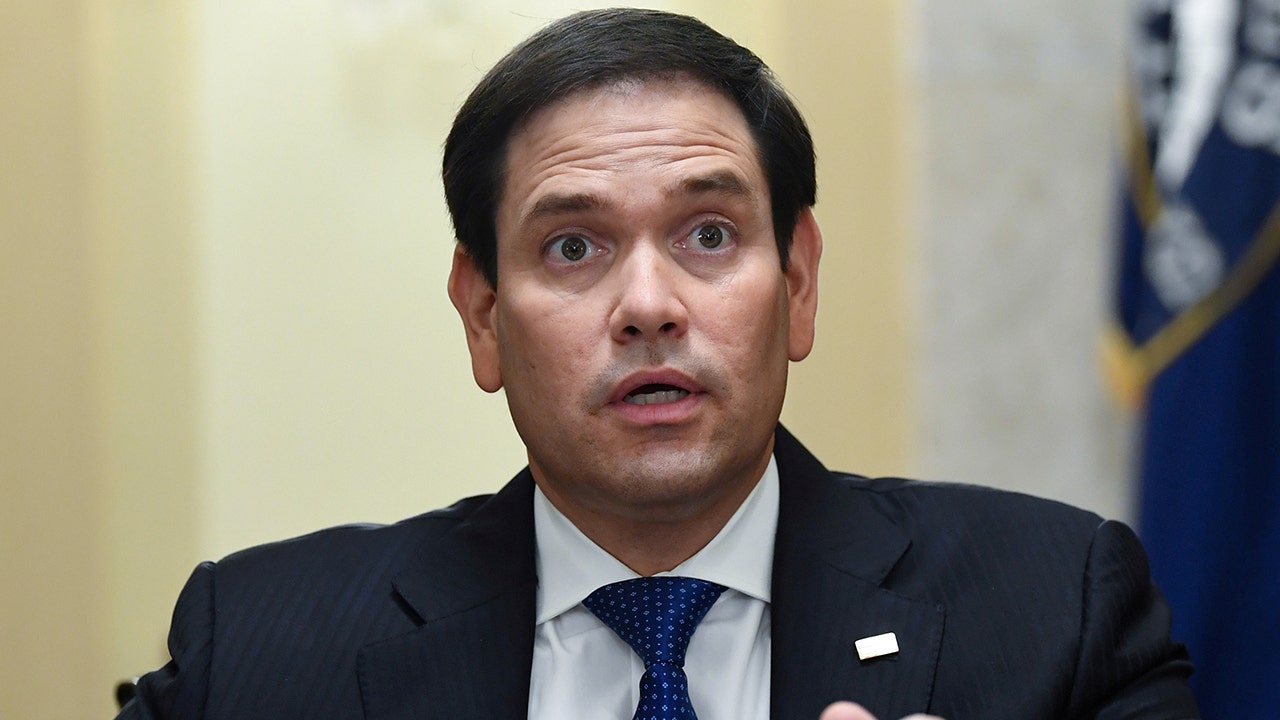 Post-Capitol riot censorship shows 'unelected' companies have 'monopoly power': Rubio