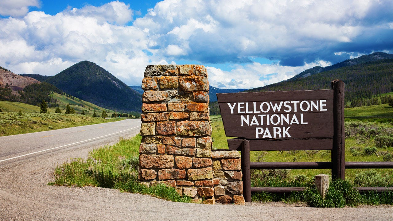 Yellowstone, Grand Teton national parks to resume bus operations