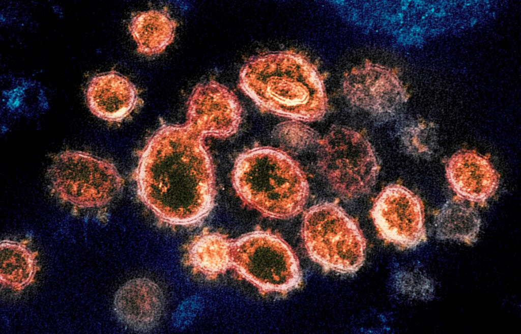 British coronavirus variant in Southern California