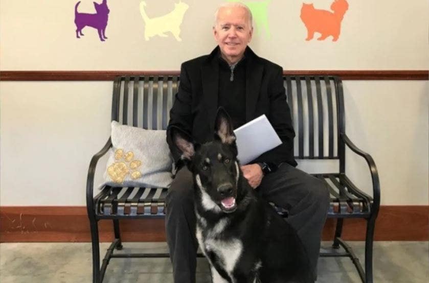 Biden battle over presidential pets shows relations with Secret Service are going to the dogs