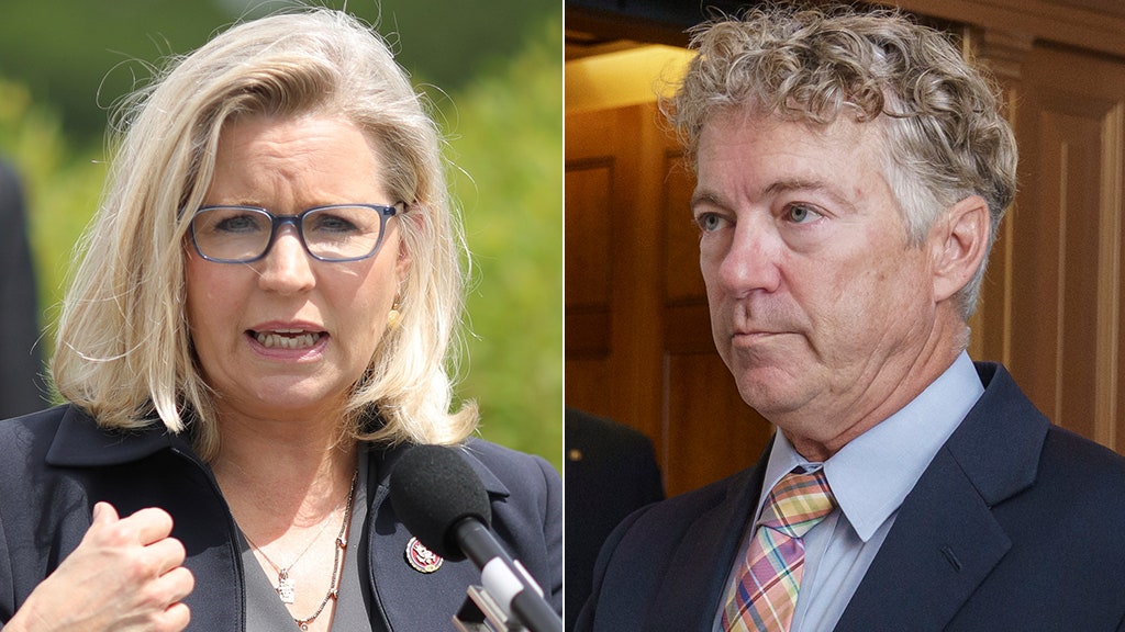 Rand Paul accuses Liz Cheney of wanting 'perpetual war,' she takes a ...