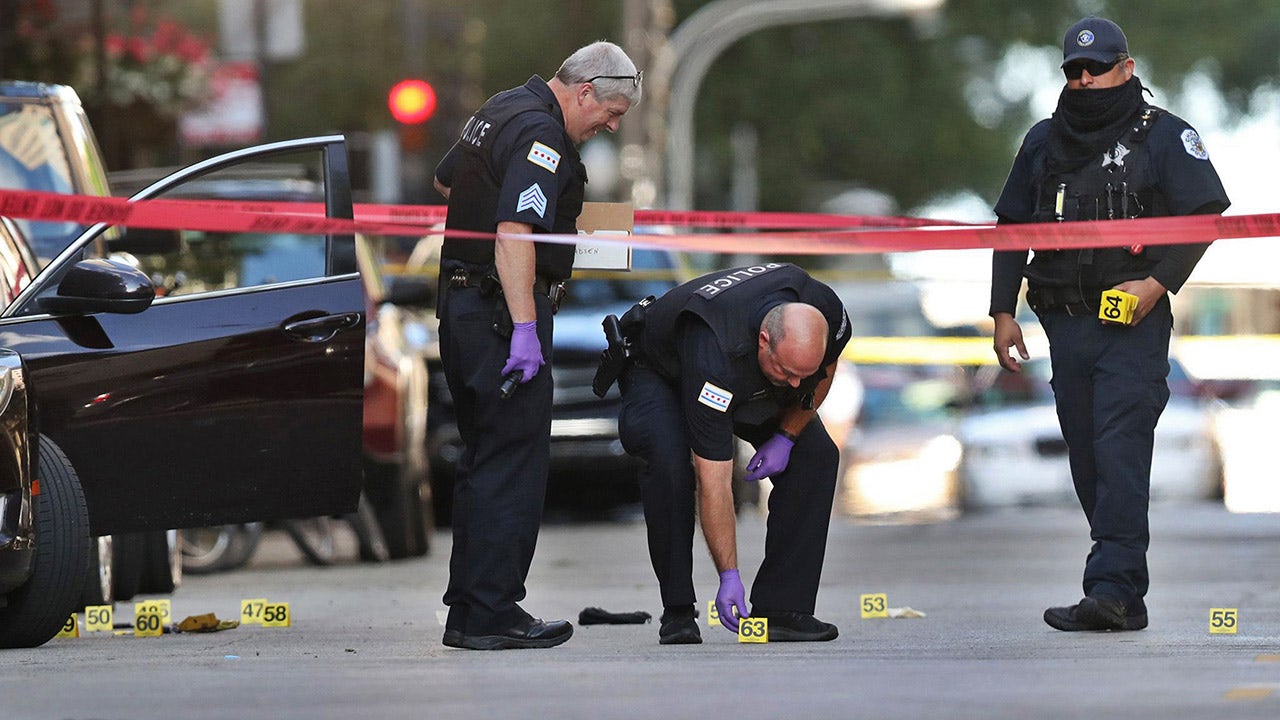 Fatal Friday shooting adds to spate of Chicago homicides