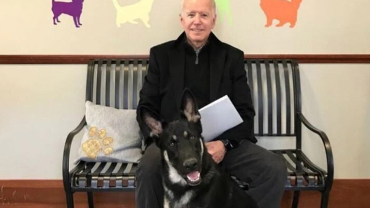 Biden should keep dog Major away from people after 2nd bite: lawyers