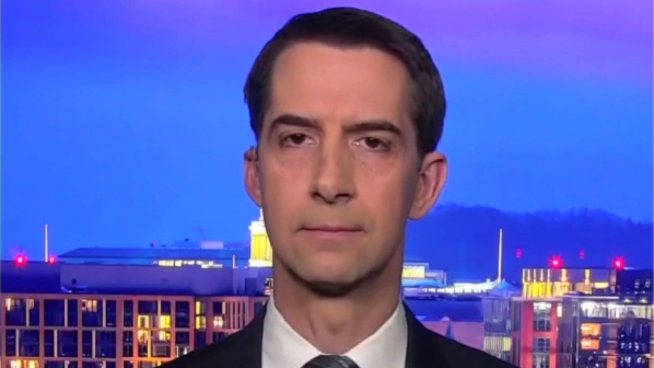 Cotton: Democrats being 'very sore winners' toward Trump supporters ahead of Biden inauguration