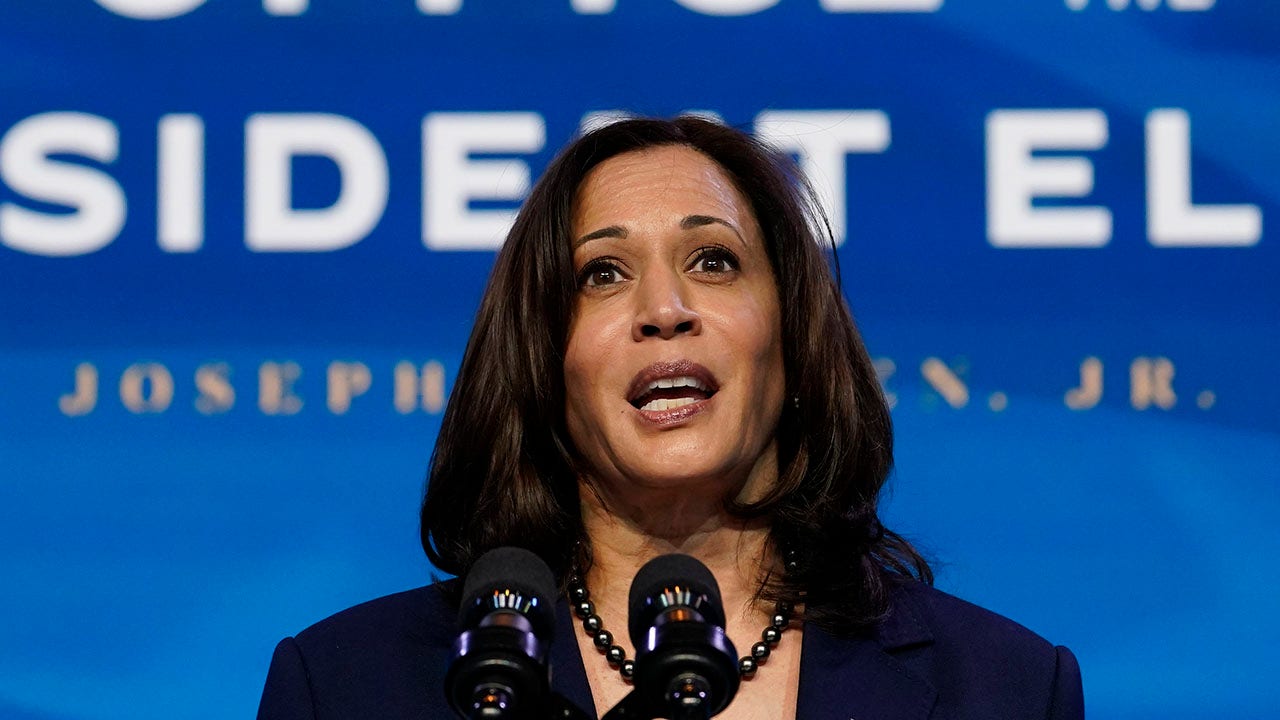 VP Harris, now overseeing border crisis, called to decriminalize crossings, compared ICE to KKK