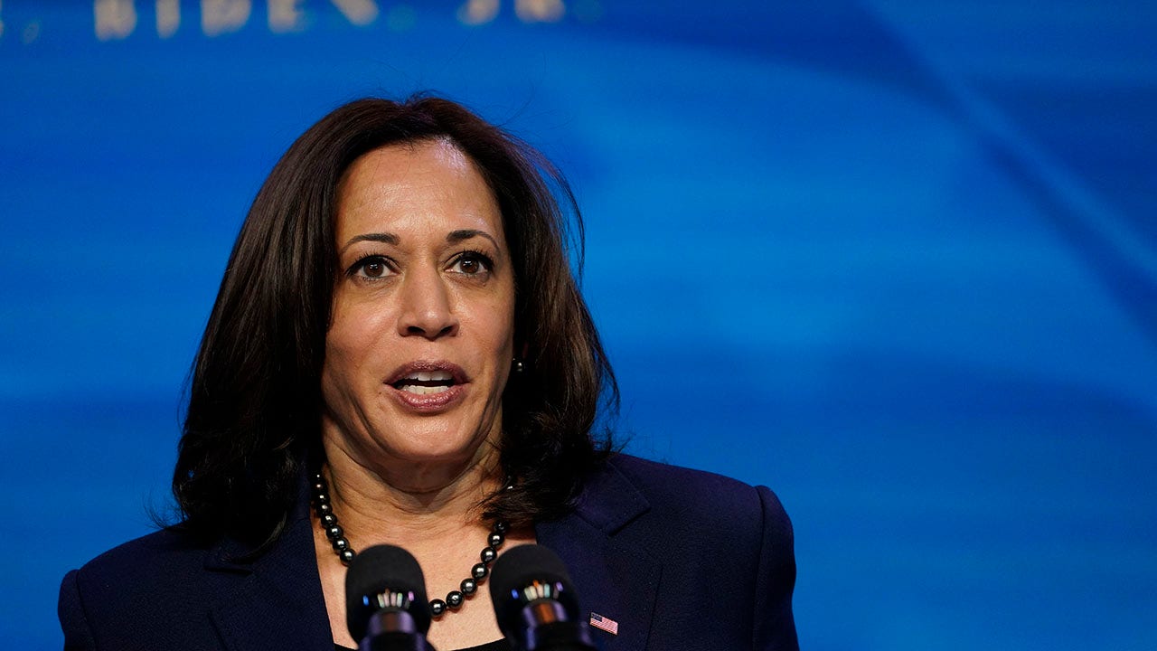 Biden's 'humane' immigration plan gives green cards to TPS, DACA recipients, Harris says