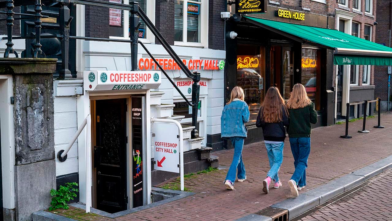 Amsterdam considers banning tourists from cannabis shops