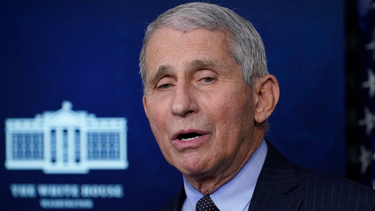 Fauci draws backlash for admitting CDC must make 'judgment call' on whether vaccinated people can travel