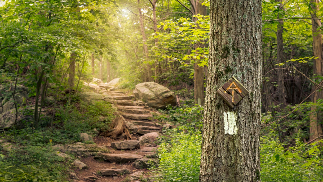 Appalachian Trail hikers will not be recognized this year due to coronavirus problems
