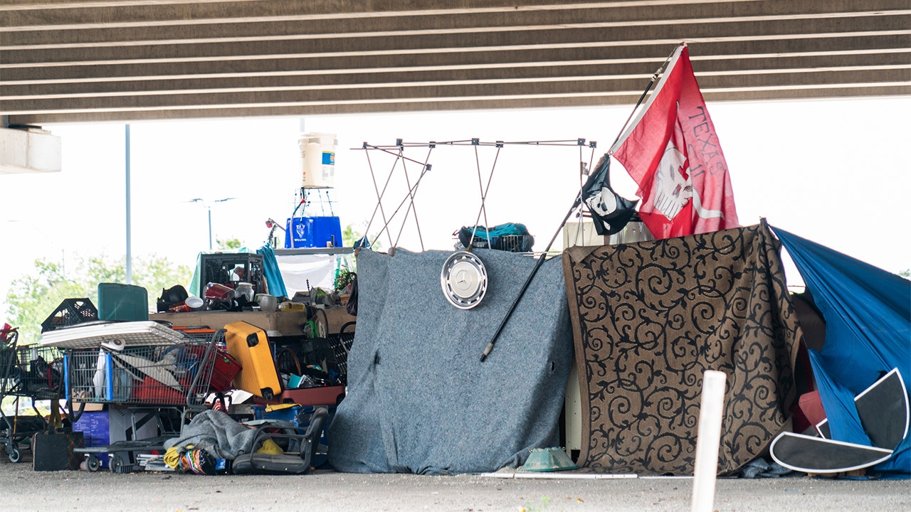 Austin Metropolis Council approves lodges for the homeless with funds diminished from the police finances