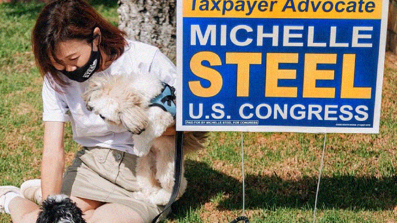 Rep.-elect Michelle Steel next to her "taxpayer advocate" lawn sign. (Photo courtesy of the Michelle Steel campaign.)