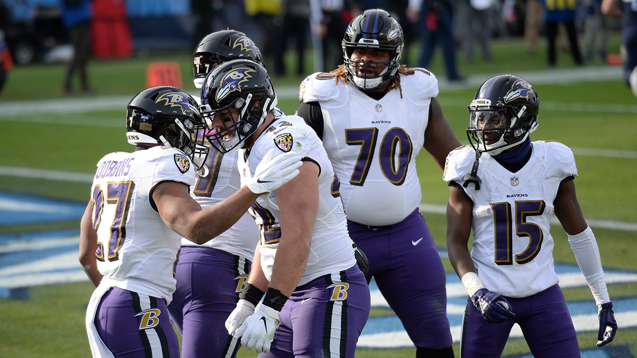 Baltimore Ravens at Tennessee Titans, Wild Card, Playoffs, AFC