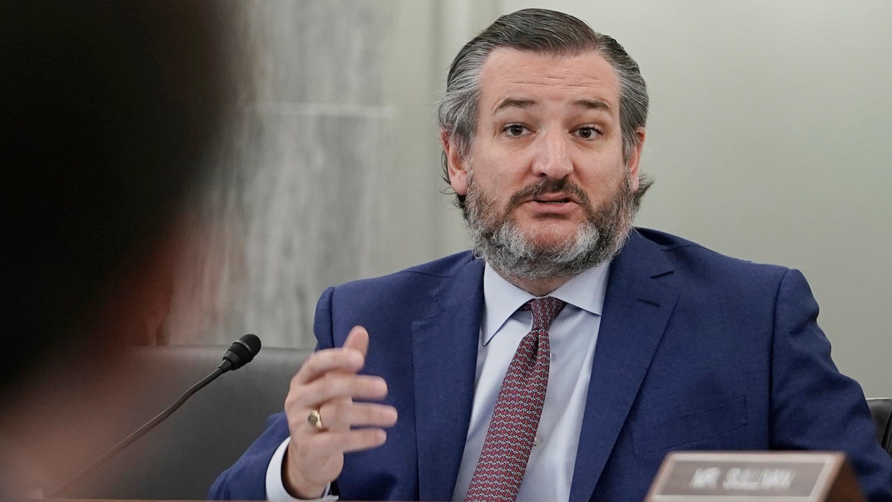 Ted Cruz ‘fighting for’ media access at southern border