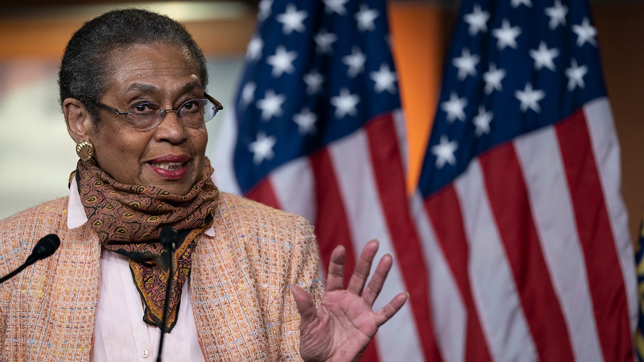 DC's delegate Eleanor Holmes Norton on Capitol barriers: Congress ‘afraid of its shadow’