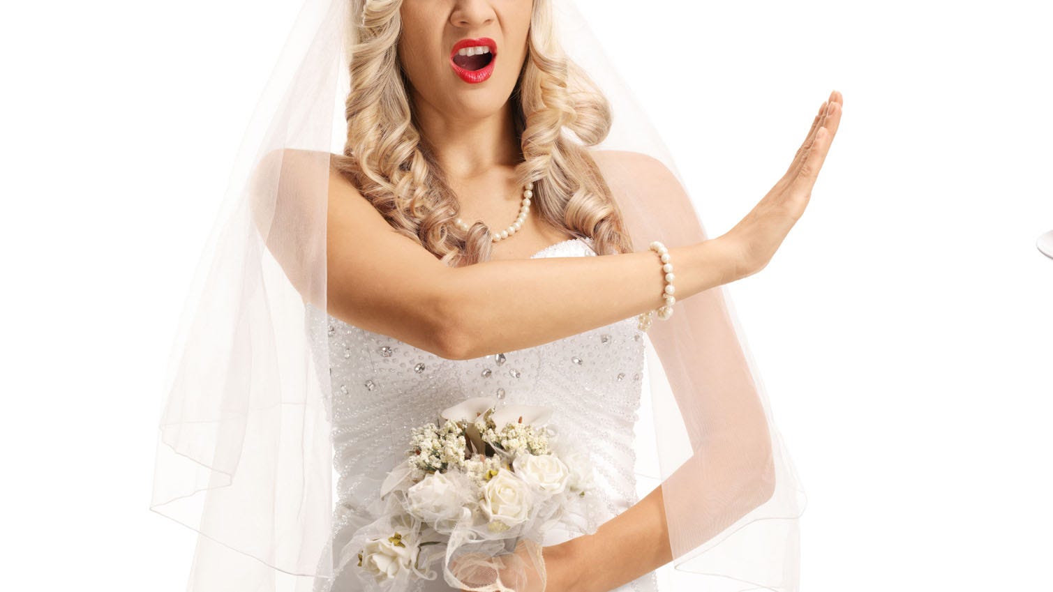 The bride says her sister-in-law has to wear a wide dress for the wedding or she can’t go