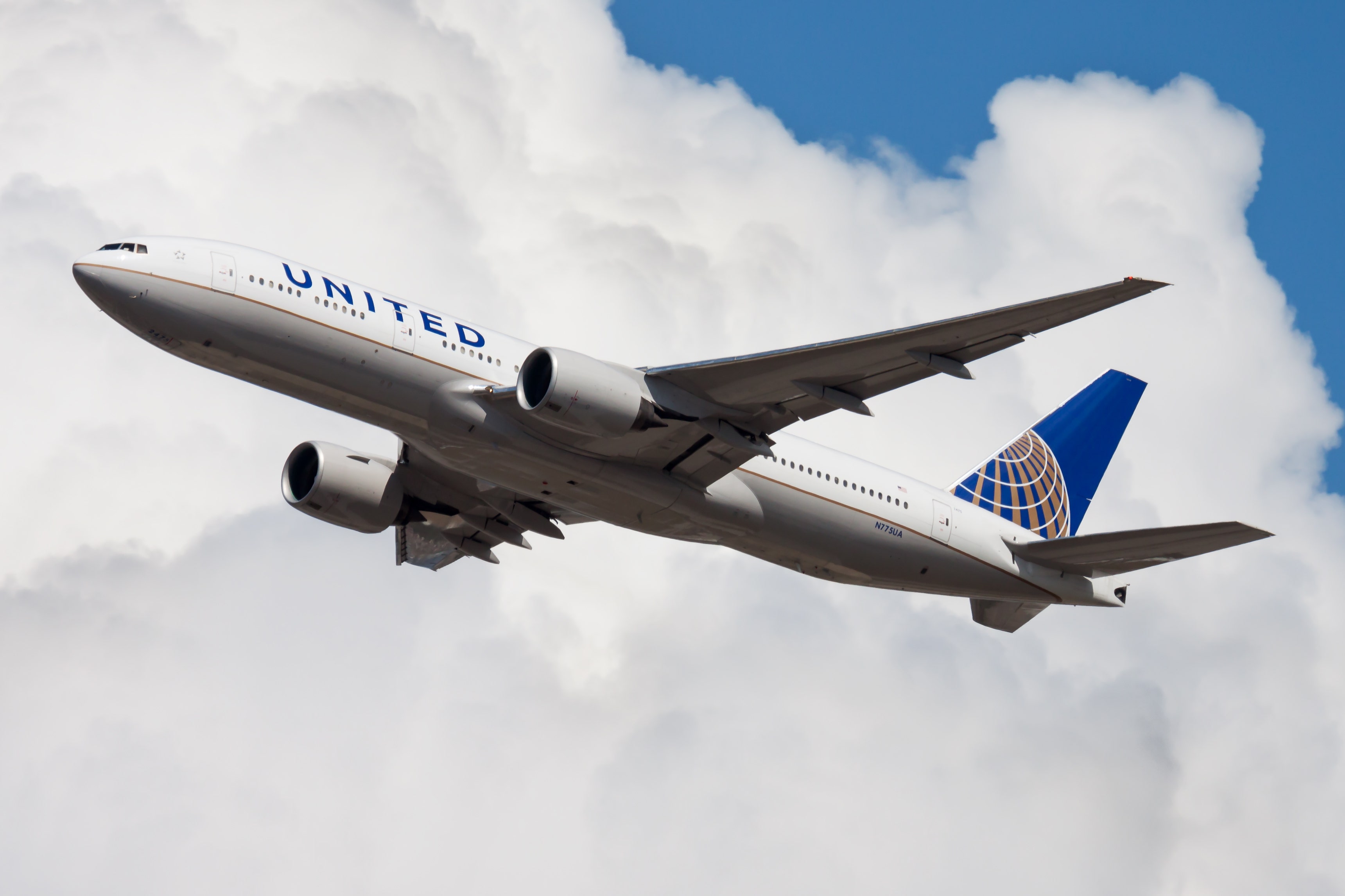 Stowaway snake sneaks onboard United Airline flight from Florida