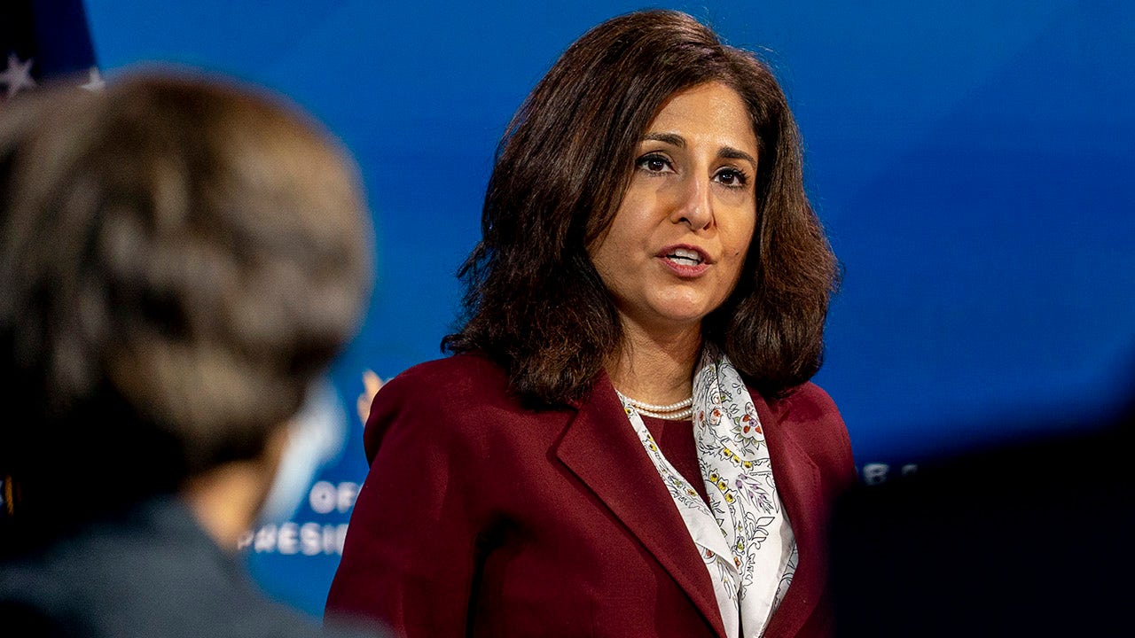 Biden Budget Nominee Neera Tanden Could Face Testy Hearings Amid