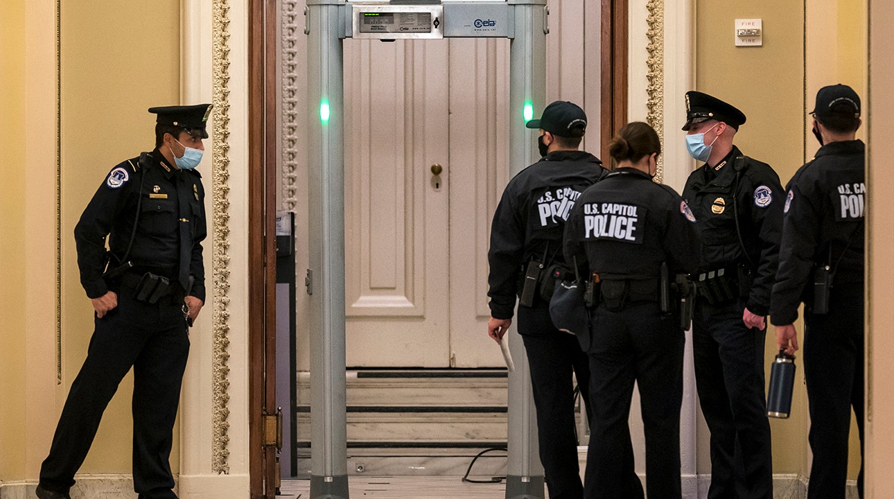 Republican Party congressman appeals fine ordered by Pelosi after ignoring metal detectors on the floor