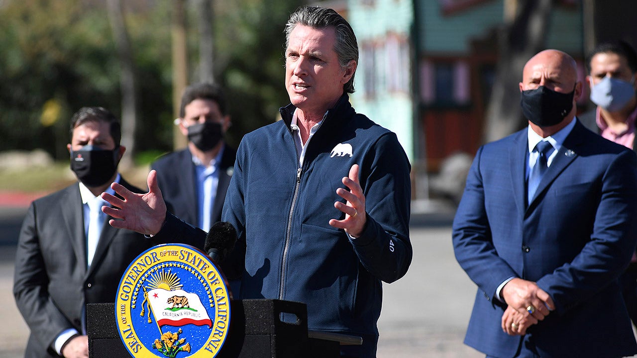 Here's who's aiming to succeed Newsom in California's gubernatorial recall election