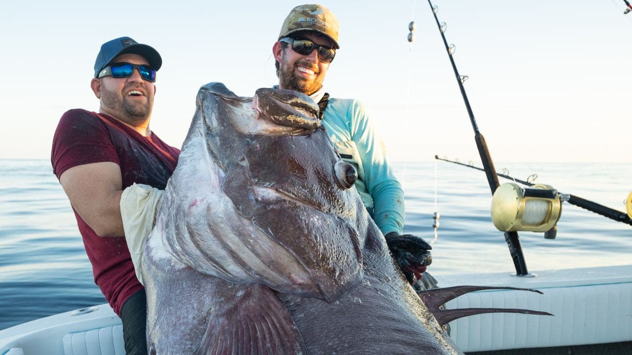 Florida fishermen catch a Warsaw Grouper that was bigger than a man: ‘It was a monster’