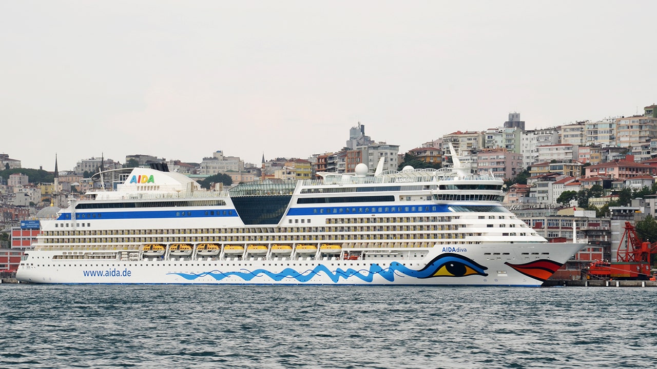 Carnival Corp's Aida cruises to set sail by end of March