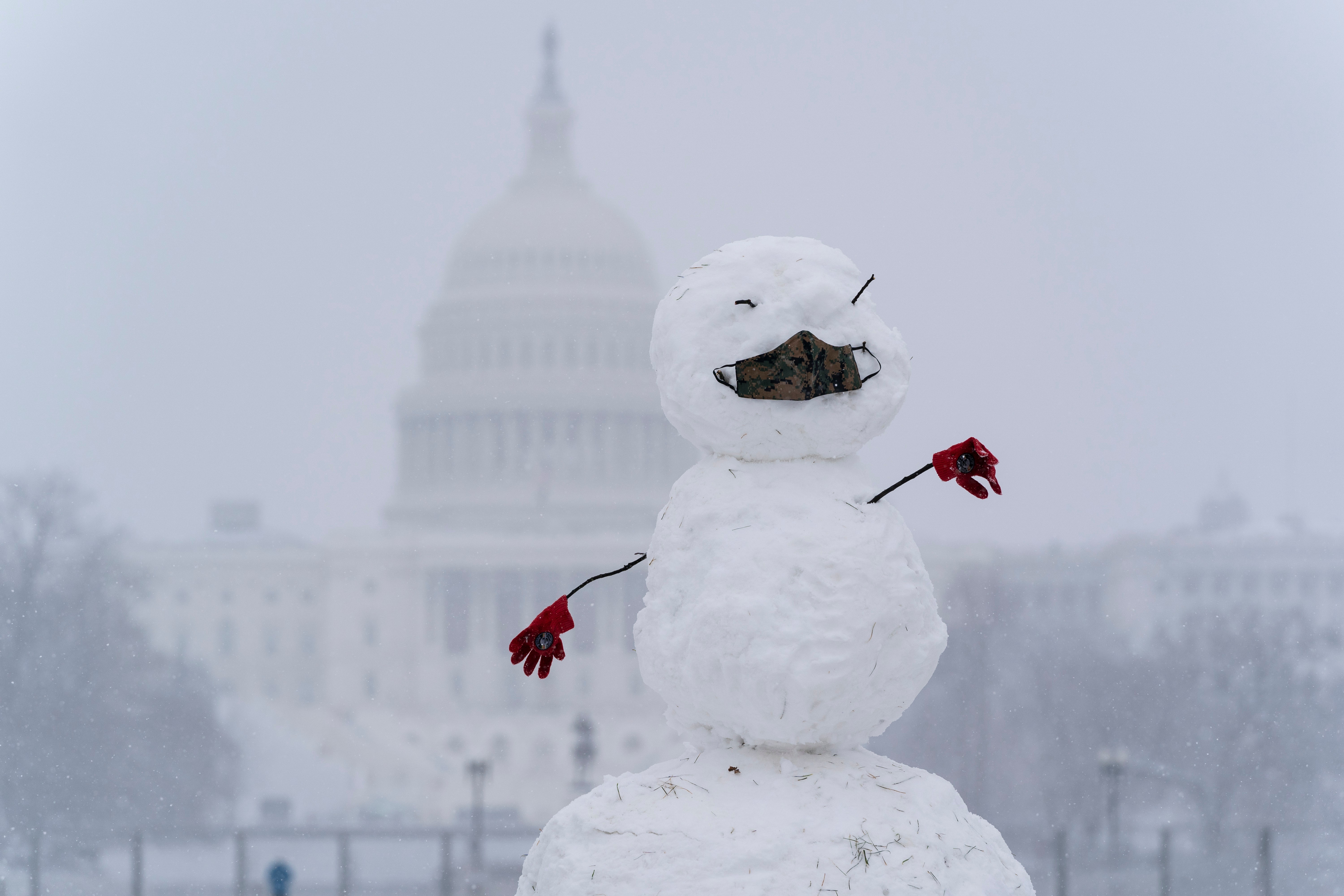 Senate confirmation vote for homeland security secretary postponed after DC gets 5 inches of snow