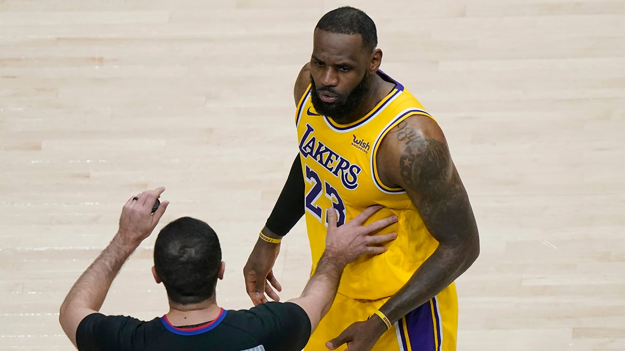 LeBron James is stopped by the fans during the Lakers game, and ref