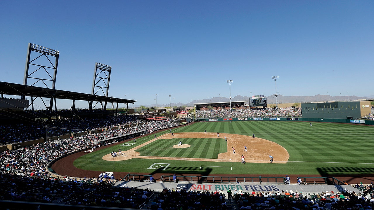 Spring Training Is a Home Run for Phoenix Economy But Fans Face Sticker  Shock