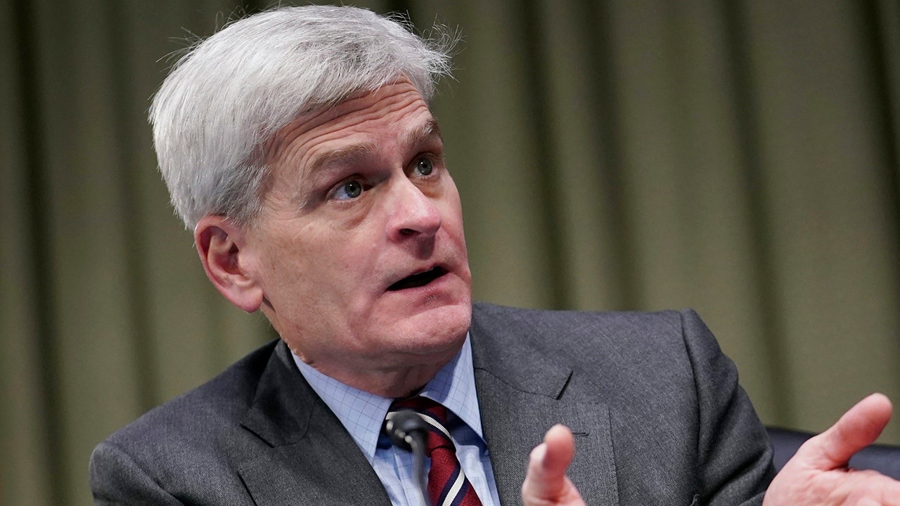 Sen. Cassidy: Biden policies 'entirely' to blame for border surge