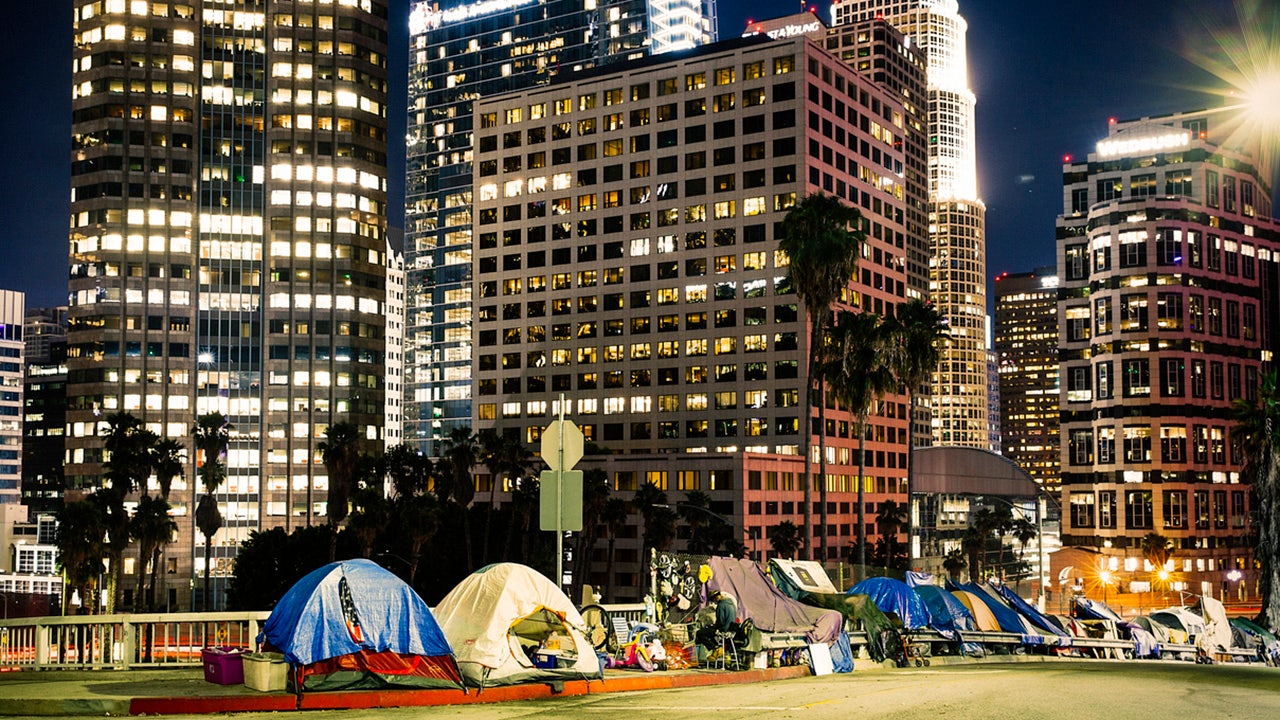 Village of tiny homes combats homelessness in Los Angeles area