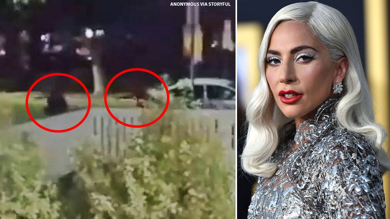 Lady Gaga's alleged dognappers arrested for robbery, attempted murder of dog walker