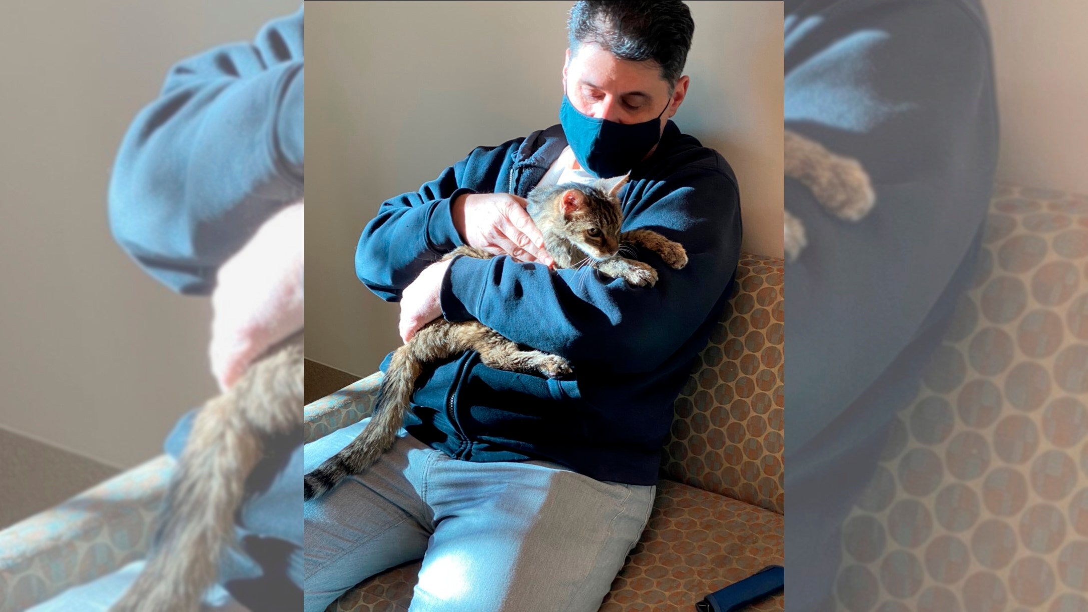 Man reunited with cat after it vanished 15 years ago: 'It was very emotional'
