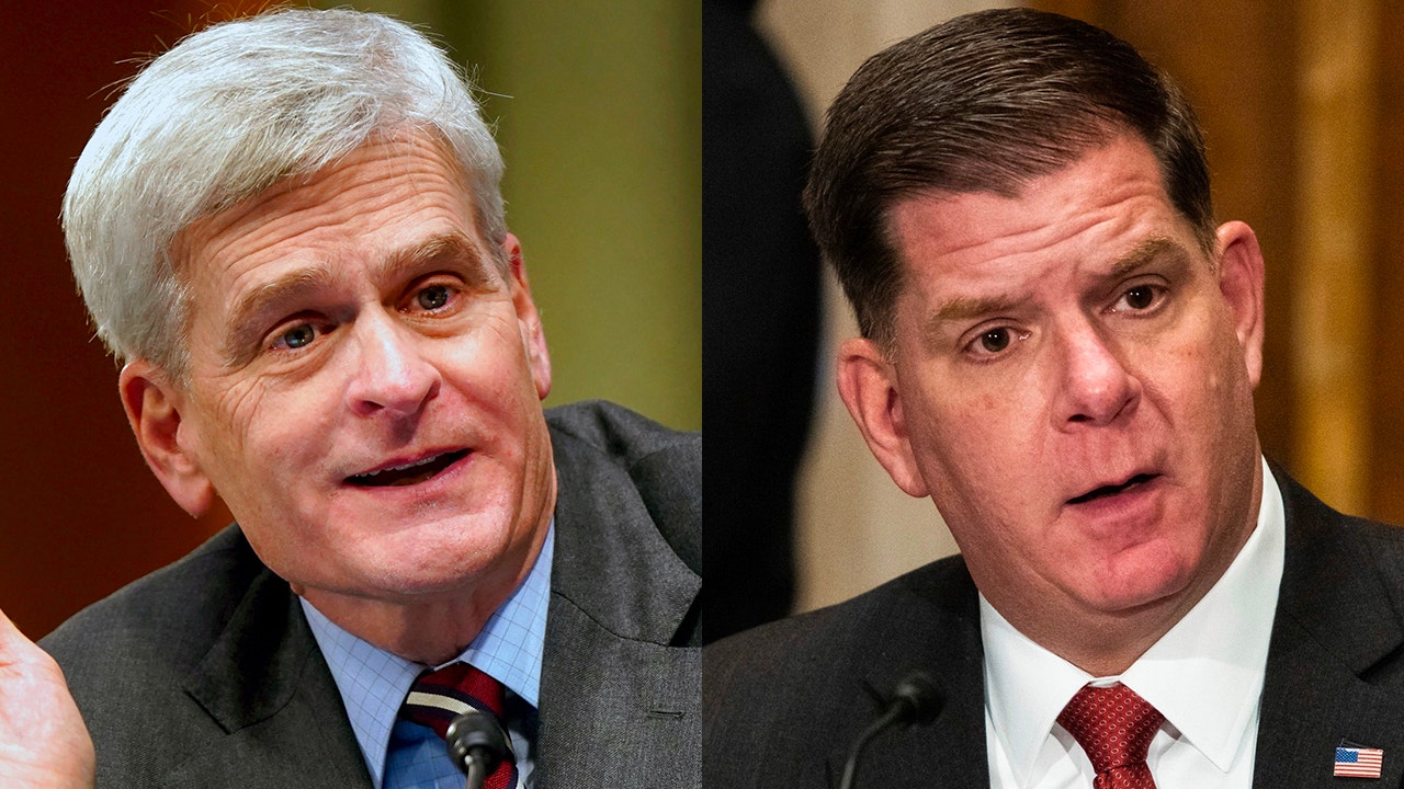 Cassidy grills labor secretary nominee Walsh on when unemployed Keystone pipeline workers will find jobs