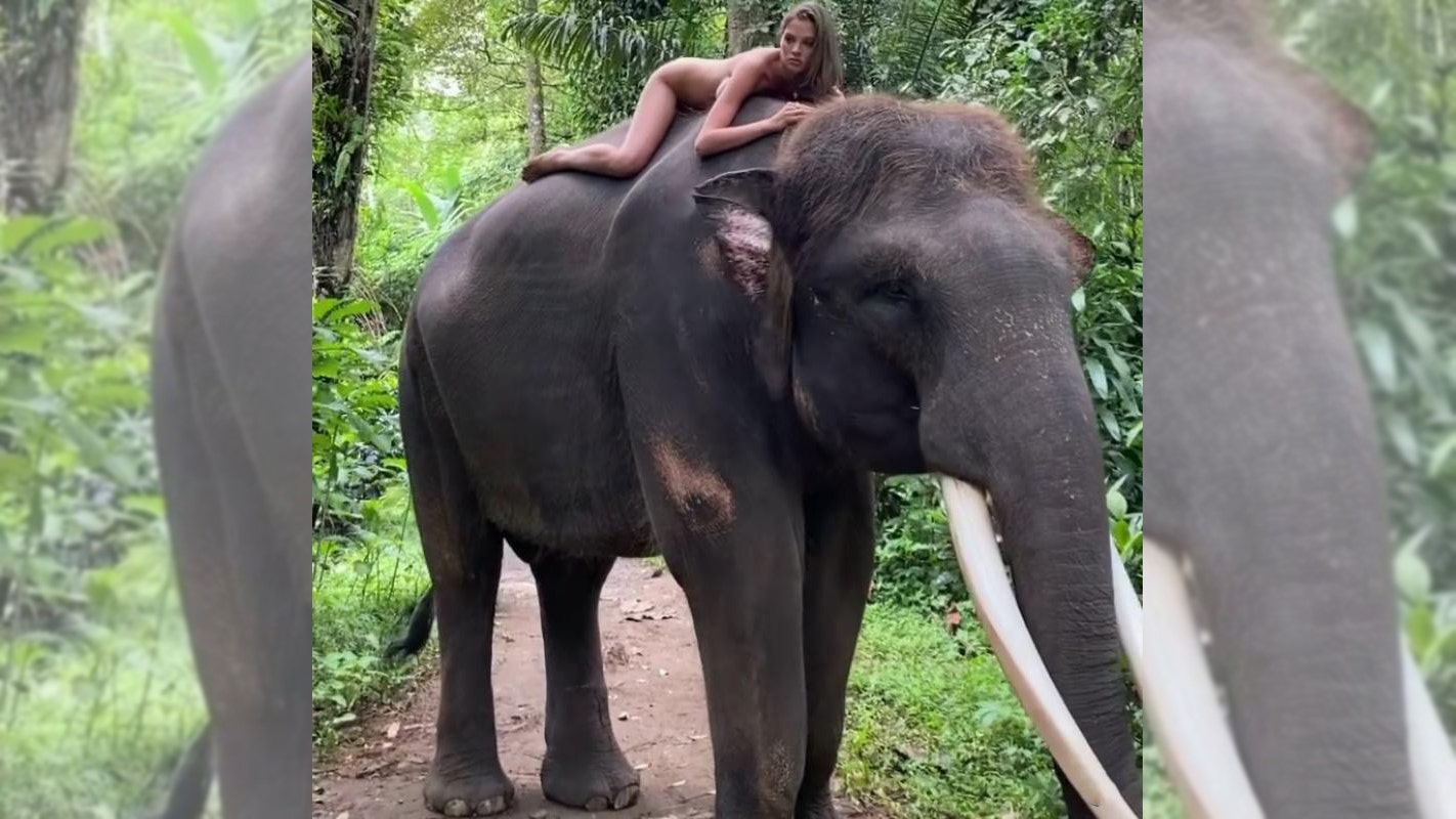 Instagram influencer posing naked with an endangered elephant responds to critics: ‘I like animals and respect them’