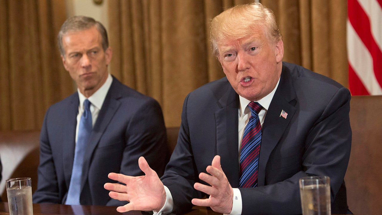 Sen Thune not 'afraid of a fight' if Trump backs a challenger in 2022