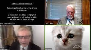 Texas attorney’s kitten filter goes viral